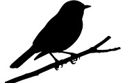 Bird Silhouettes Flying Sideways, an Animal Illustration by Designer_Momina (Thumbnail 14 of 21)