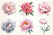 Watercolor Blush Peonies Flowers Cli, an Illustration by DreamCafeArt (Thumbnail 2 of 7)