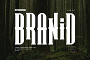 Branid Elegant Serif Font Typeface, a Serif Font by Perfectype (Thumbnail 1 of 6)