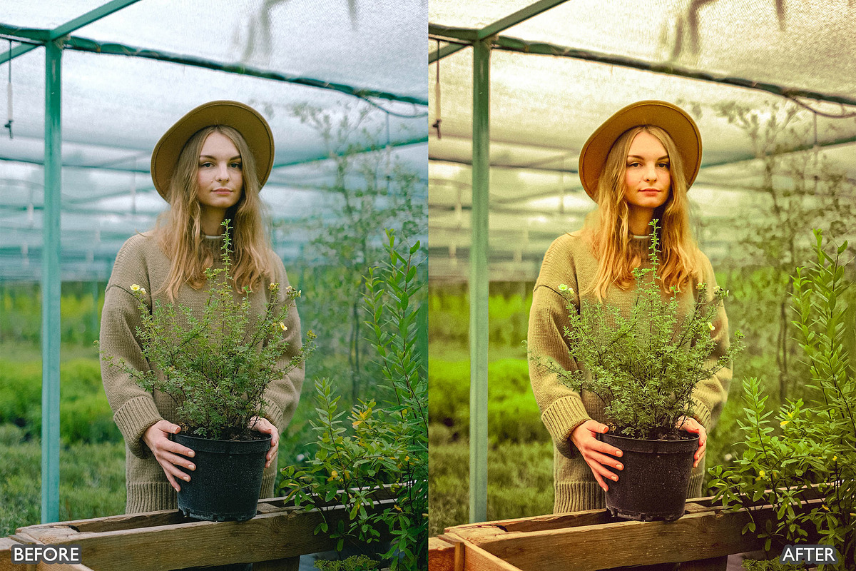 Steal Film Cinematic LR Presets, a Preset Add-On by AAA Presets (Photo 20 of 22)