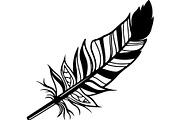 Feather SVG Bundle, an Object Graphic by Designer_Momina (Thumbnail 12 of 18)