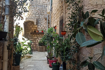 Beautiful narrow street with with po, an Architecture Photo by Photo by YuraYaryna