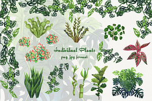 HousePlants Watercolor Set