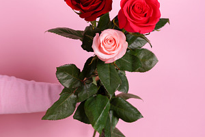 Bouquet of red and pale pink roses held by a hand against pastel, a Person Photo by Ales Munt