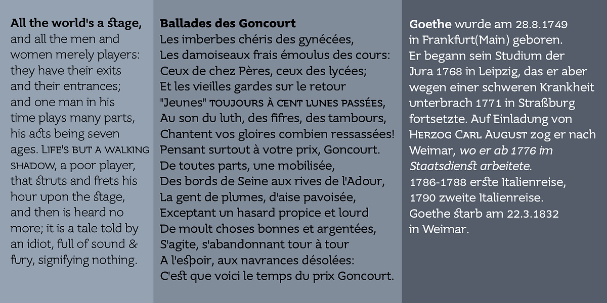 Supra Demiserif, a Slab Serif Font by Wiescher-Design (Photo 3 of 5)