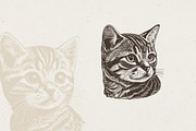 Cat Breeds Portrait Illustrations, an Animal Illustration by Nocturnal Wolf (Thumbnail 8 of 10)