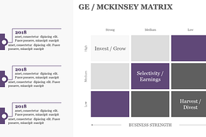 GE / MCKINSEY MATRIX PowerPoint