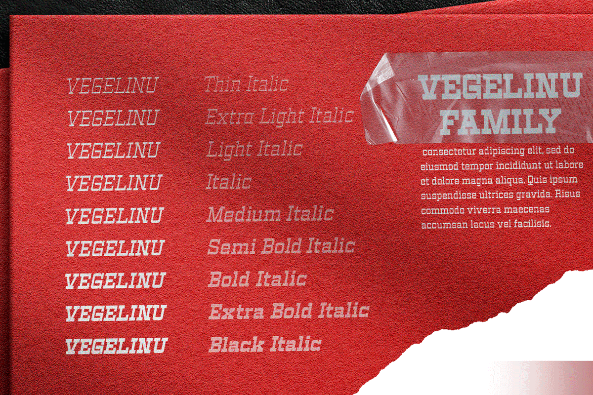 Vegelinu - Slab Display Family, a Slab Serif Font by Differentialtype (Photo 10 of 12)