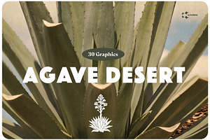 Agave & Tequila Vintage Vectors