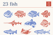 Undersea World - vector &png, an Animal Illustration by Anatartan Design (Thumbnail 3 of 13)