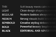 Royal Club - Elegant Serif Family, a Serif Font by Say Studio (Thumbnail 3 of 14)