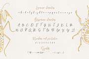 Lyuli Font Script, a Script Font by Anna (Thumbnail 2 of 9)