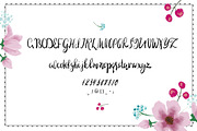 Valeria brushpen font, a Script Font by Funny-sunny (Thumbnail 3 of 5)