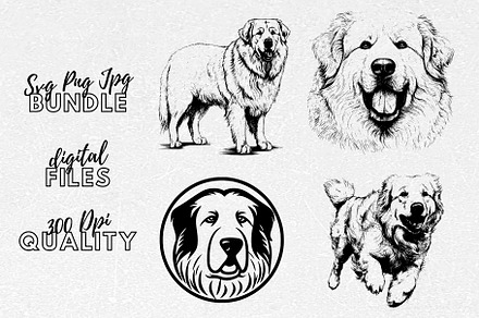 Great Pyrenees SVG - Dog Clipart