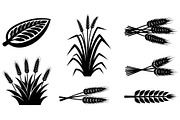 Rural Countryside Landscape, a Graphic by hafijul (Thumbnail 5 of 13)