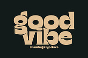 Graphy - Vintage Bold Font, a Sans Serif Font by Luna Shop (Thumbnail 7 of 8)