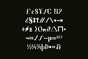Arkity Qillgar Feminine Elegant Font, a Serif Font by Iqsiart Studio (Thumbnail 8 of 13)