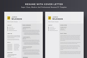 Professional Word Resume / CV