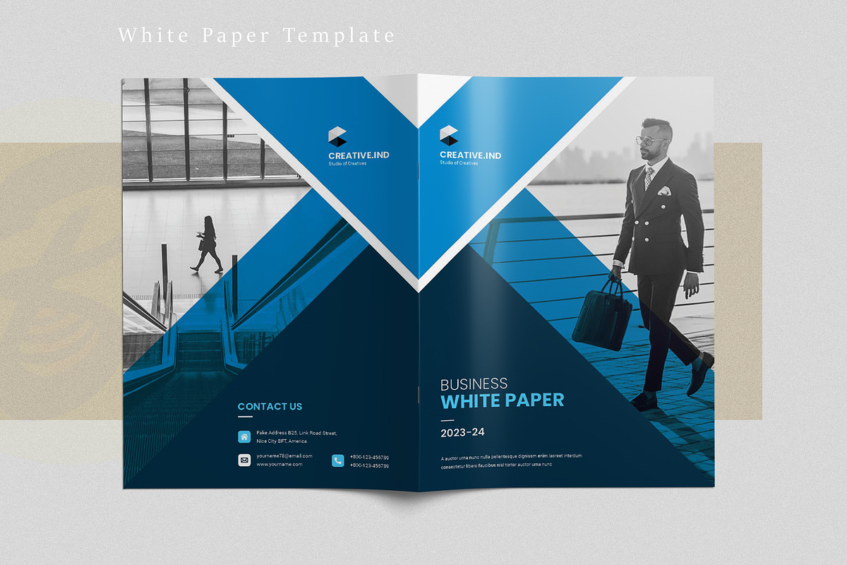 White Paper Template, a Brochure Template by ArtisticLand (Photo 8 of 8)
