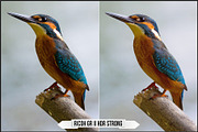Ricoh Image Controls & Creative Mode, a Plug-in Add-On by Raztrend (Thumbnail 19 of 31)