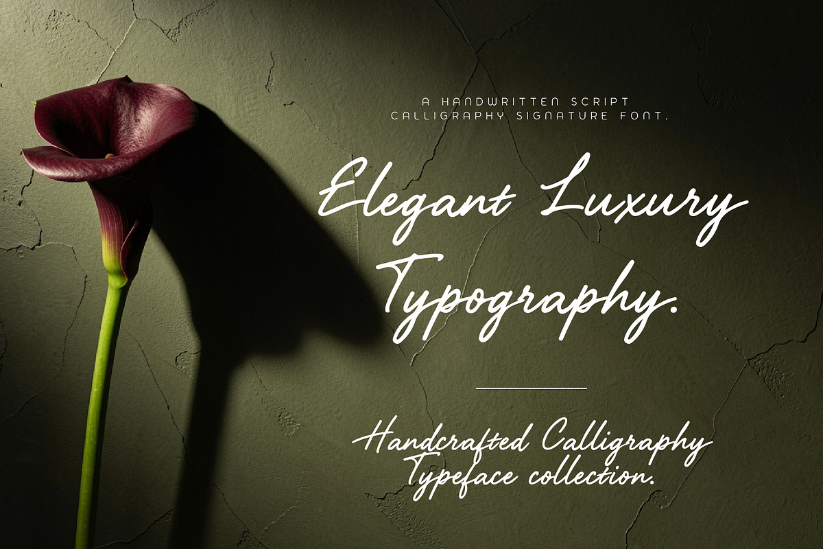 AIRFI - Signature Luxury Handwriten, a Handwritten Font by HypeWorksCo (Photo 7 of 13)