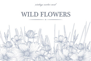 Wild Flowers