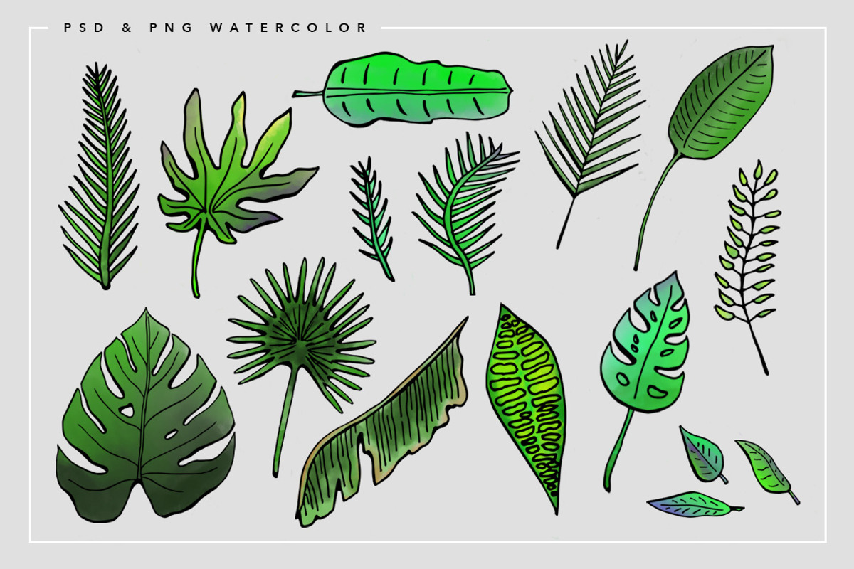 Tropical Watercolor Illustrations, an Illustration by Spring Break Jake (Photo 6 of 19)