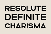Altero – Font Family, a Font by Stefano Giliberti (Thumbnail 5 of 10)