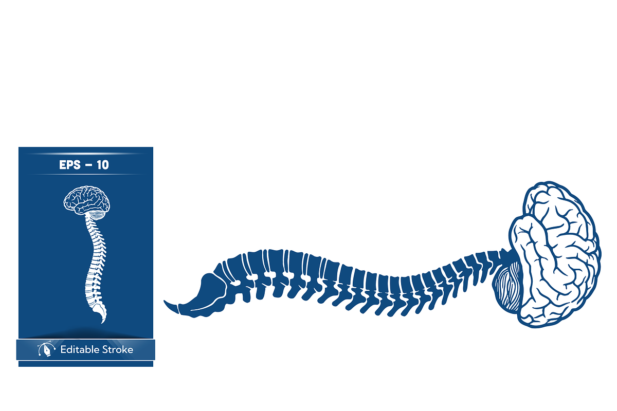 Stylized Spine and Brain Graphic, a Healthcare Illustration by CarWrap design (Photo 4 of 4)
