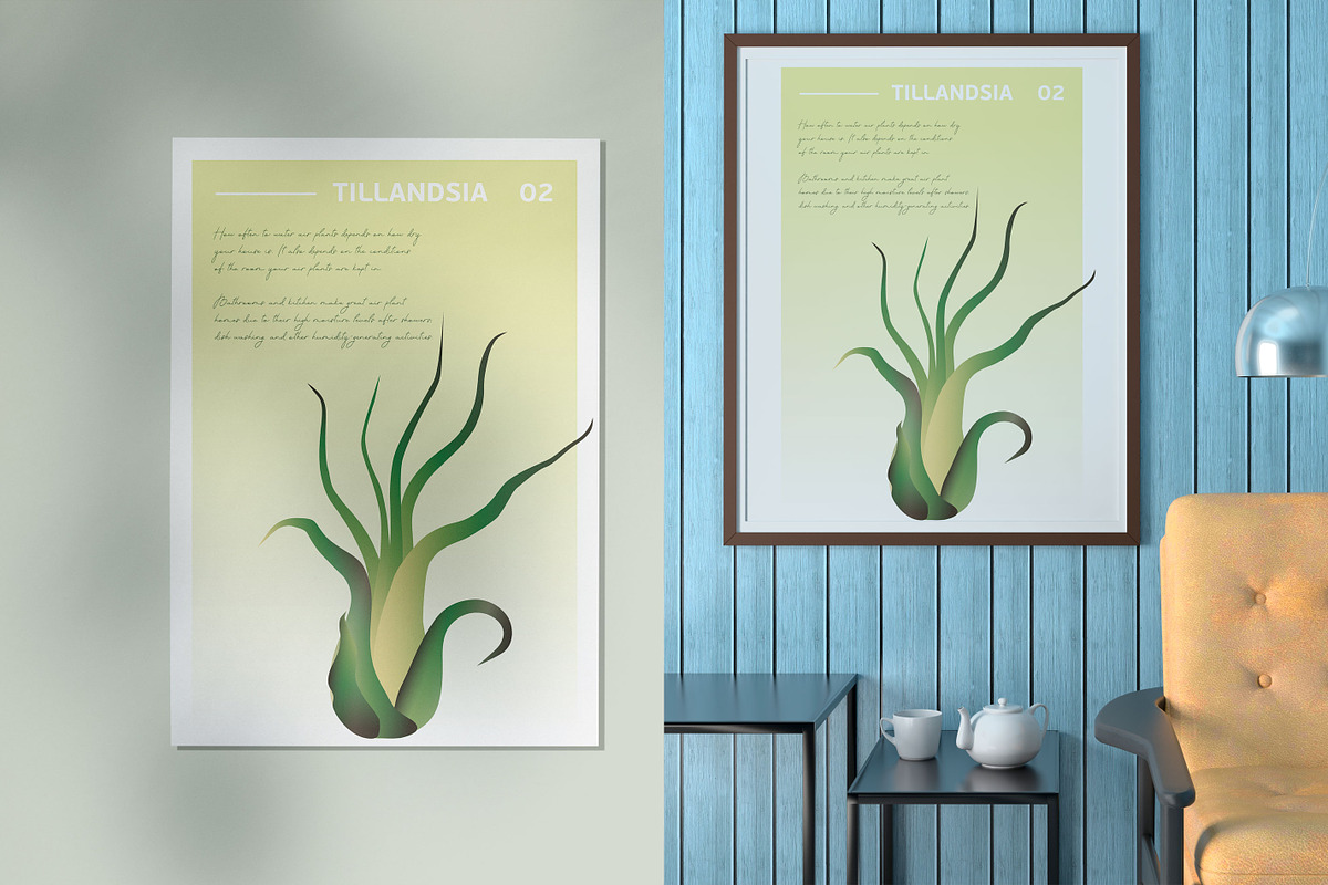 6 House Plants | Botanical Bundle, a Decorative Illustration by Lines And Crafts (Photo 3 of 7)