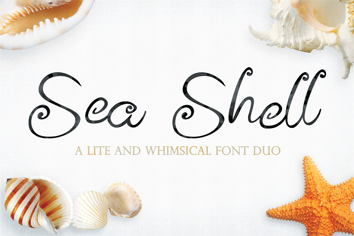 Sea Shell Script, a Script Font by tmcom (Photo 1 of 13)