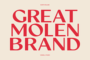 North Roland - Display Sans Serif, a Sans Serif Font by Viswell (Thumbnail 8 of 11)