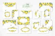 Lemon watercolor illustration, an Illustration by Fedulova Art (Thumbnail 9 of 14)