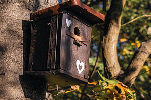 Bird Feeder #2, an Animal Photo by jakub_kopecky