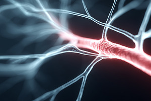 Neuron with glowing synapse, a Health & Medical Photo by MistyDay