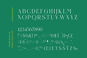 Nelhinco Modern Display Serif, a Serif Font by Letterena Studios (Thumbnail 13 of 15)