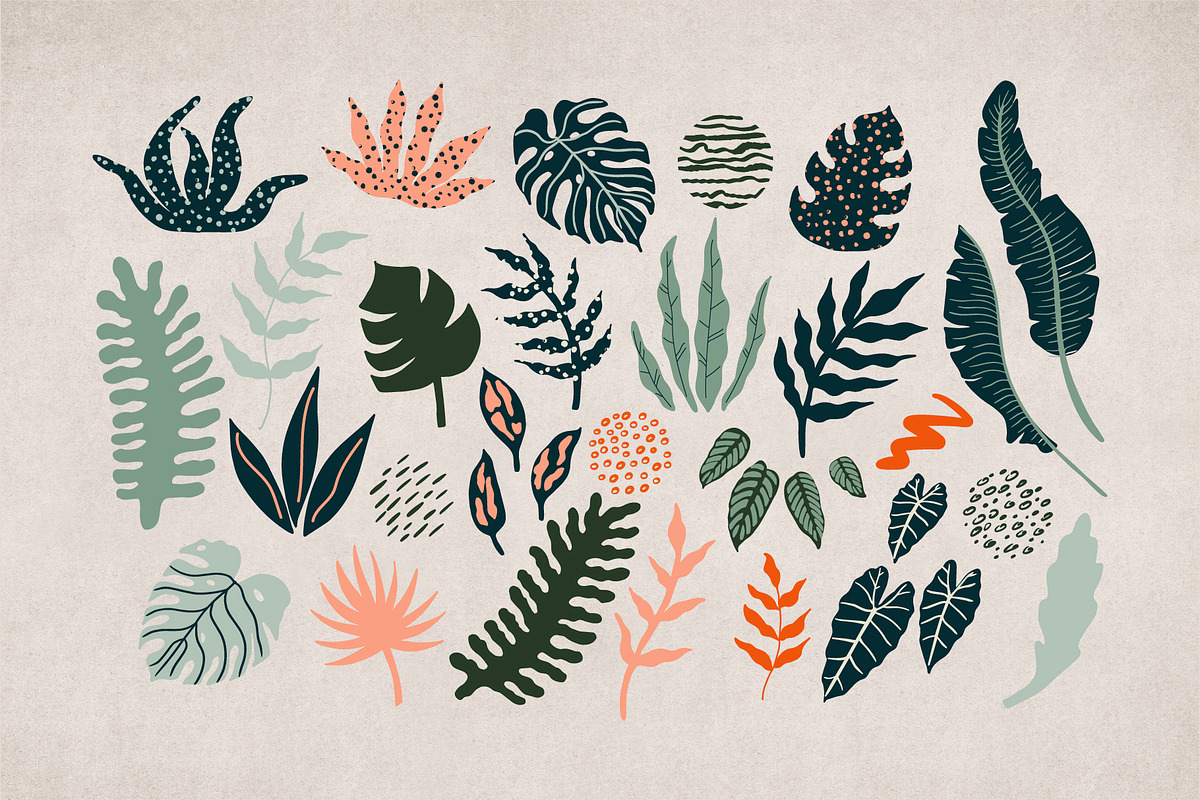 Wild cats. Jungle & tropical set., an Animal Illustration by Alona Savchuk (Photo 7 of 15)