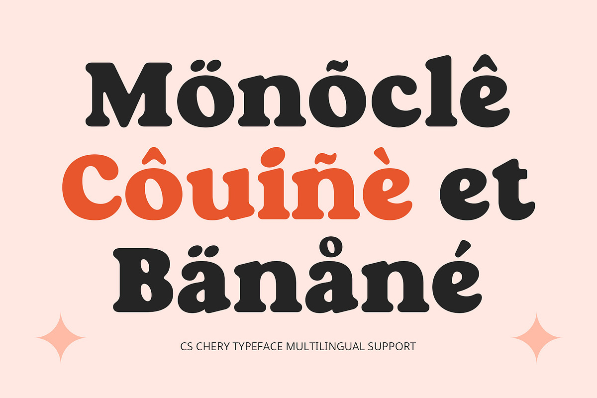 CS Chery – Bold Font, a Serif Font by Craft Supply Co. (Photo 4 of 8)