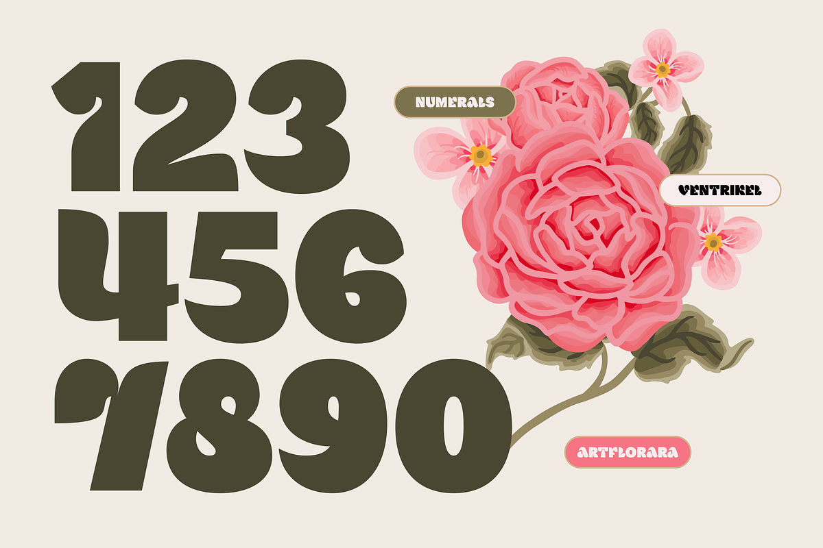 VENTRIKEL - ExtraBold Display Font, a Sans Serif Font by Artflorara (Photo 12 of 19)