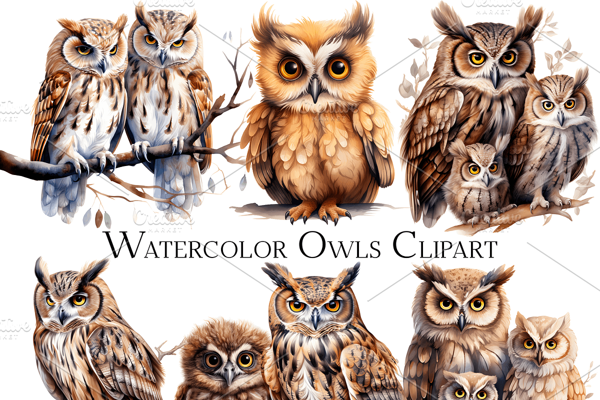 Watercolor Owl Clipart, an Object Graphic by ArtisticTimberStudio (Photo 1 of 2)