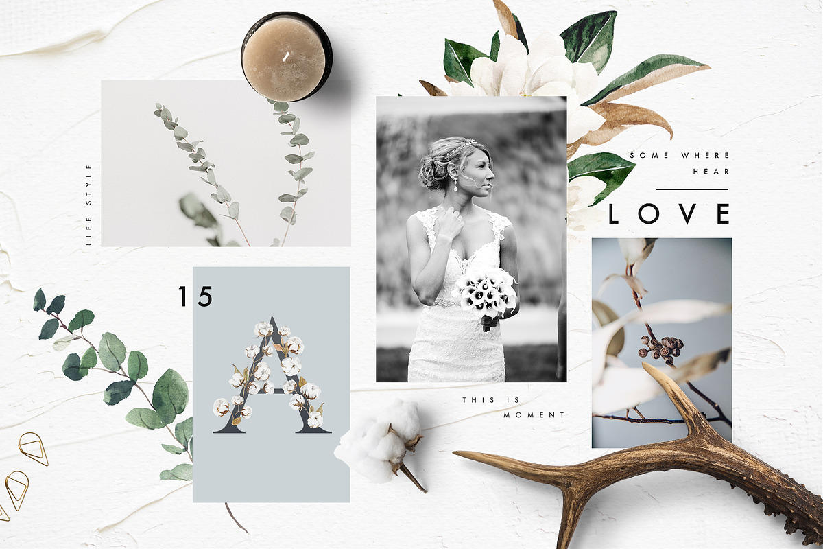 Magnolia&Cotton, an Illustration by Graphic Box (Photo 5 of 7)