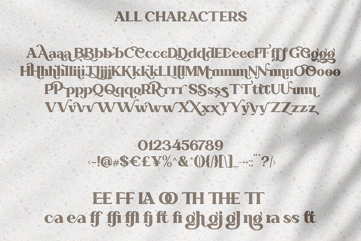 Abraghen - Ligature Serif Font, a Serif Font by Almeera Std (Photo 7 of 12)
