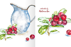 Watercolor Cranberry