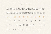 CRONDE || Elegant Luxury Serif, a Serif Font by ToniStudio (Thumbnail 9 of 10)