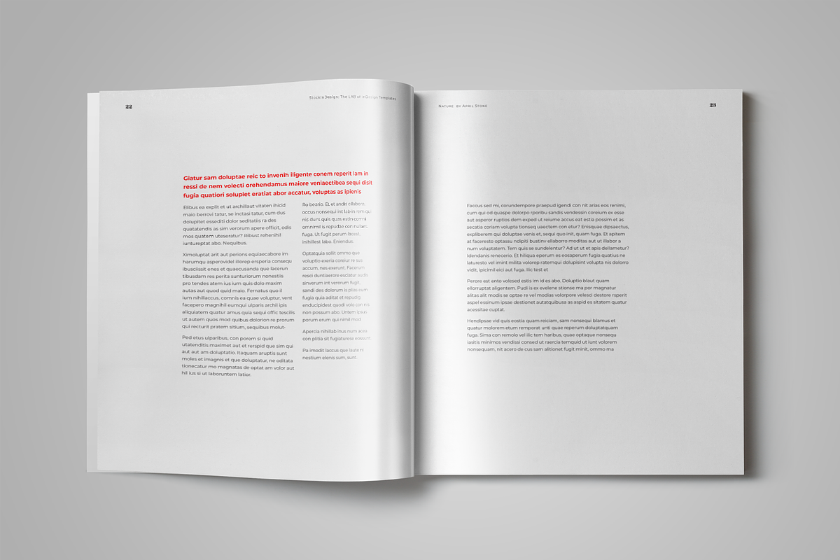 Book Template, a Templates & Theme by StockInDesign (Photo 10 of 11)