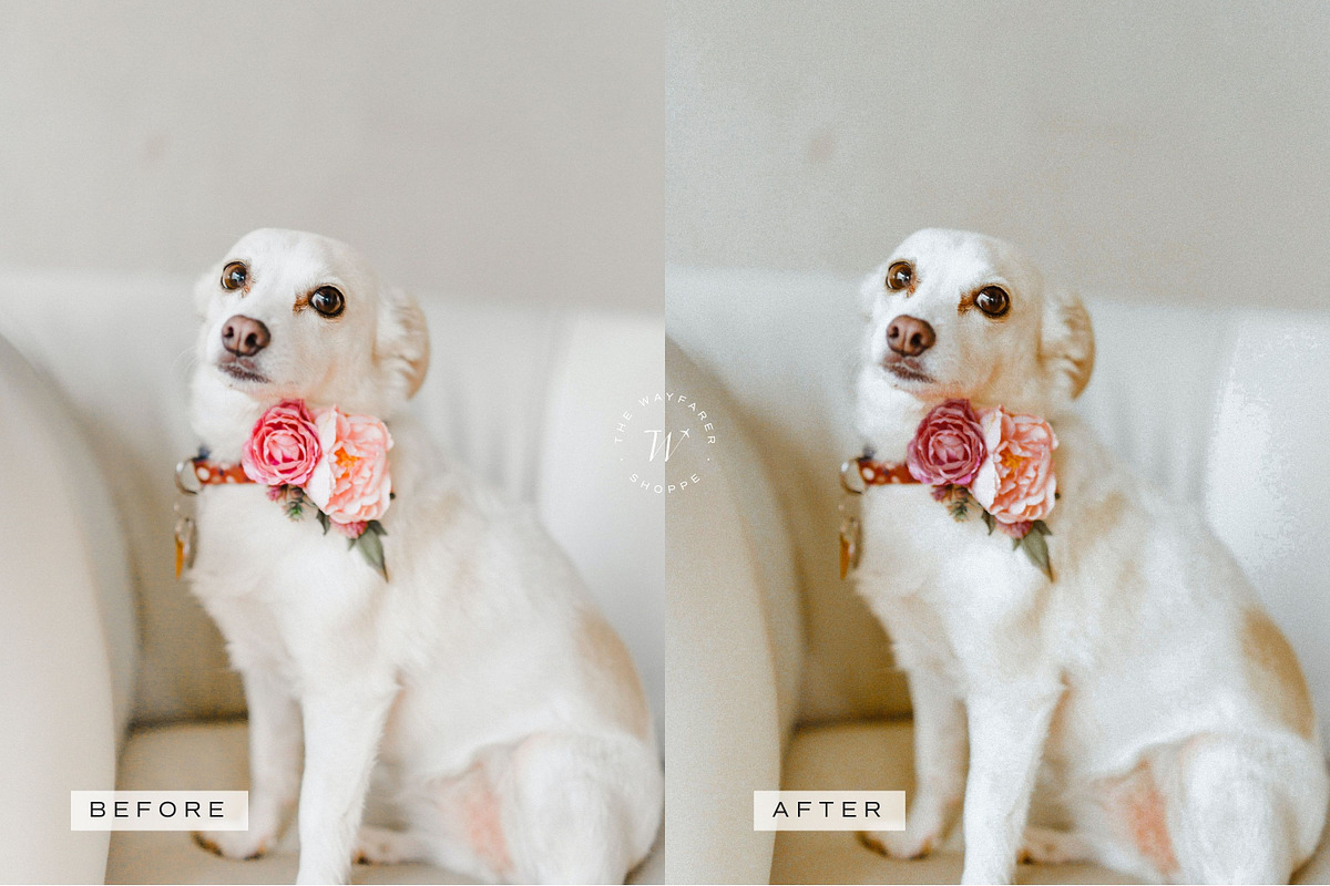 5 Warm LR Presets + Video Filters, a Preset Add-On by TheWayfarerShoppe (Photo 11 of 17)