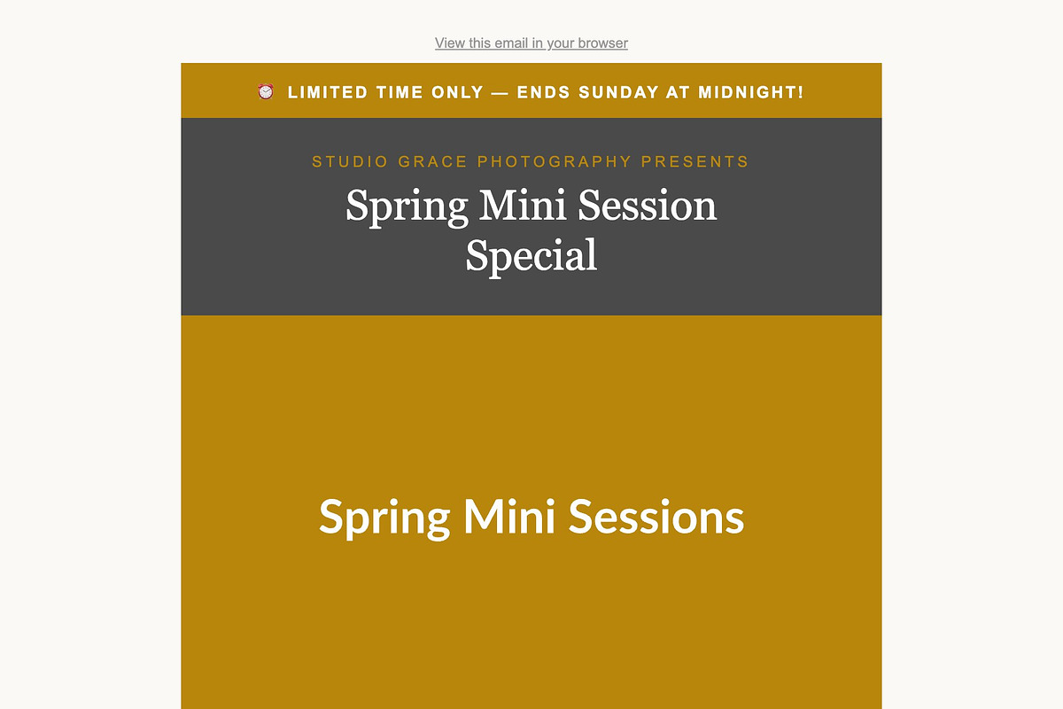 Personal Service Email Kit, an Email Template by Art Club (Photo 3 of 3)