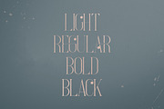 French Typeface - 4 fonts, a Serif Font by VP Fonts (Thumbnail 2 of 9)