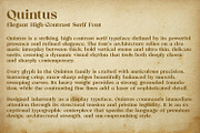 Quintus High Contrast Serif Font, a Serif Font by OWPictures (Thumbnail 9 of 10)