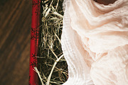 20 Christmas Stock Photos: 81% OFF, a Photo by Lightstock (Thumbnail 5 of 20)